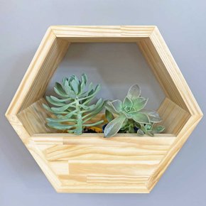 nicho colmeia com cachepo natural de madeira 3